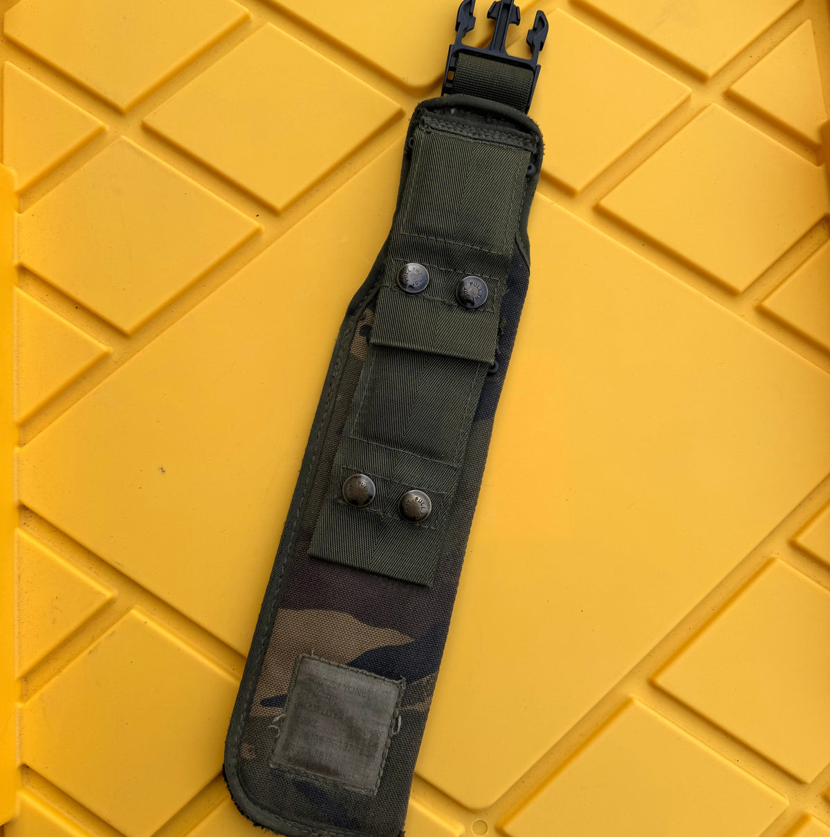 PLCE, IRR, Bayonet Frog